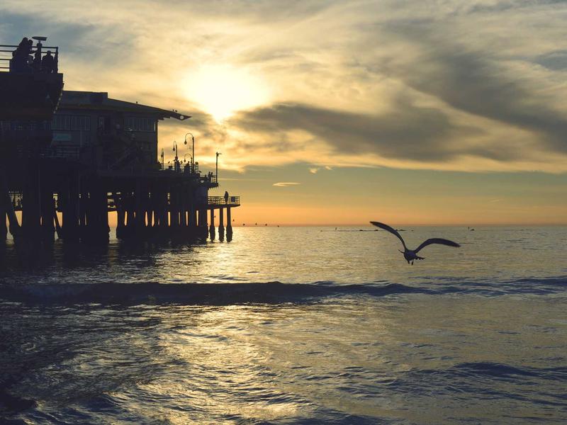 触觉反馈<br>uwsuuyl.cn 羊绒围巾触感